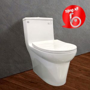 Bon cau Viglacera V65