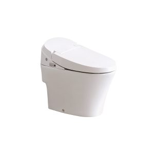 Bồn cầu thông minh Viglacera V91