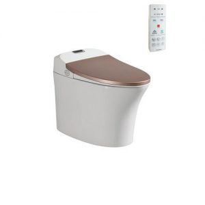 Bồn cầu thông minh Viglacera V93GW