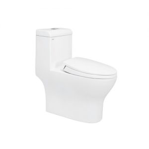 Bồn cầu Viglacera V45